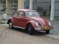 /album/carruagens-do-vo/jarbas-jpg/